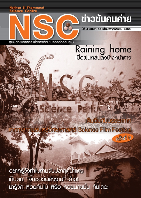 NSC ข่าวข้นคนค่าย ปีทีี่ 4 ฉบับที่ 58 เดือนพฤศจิกายน 2556