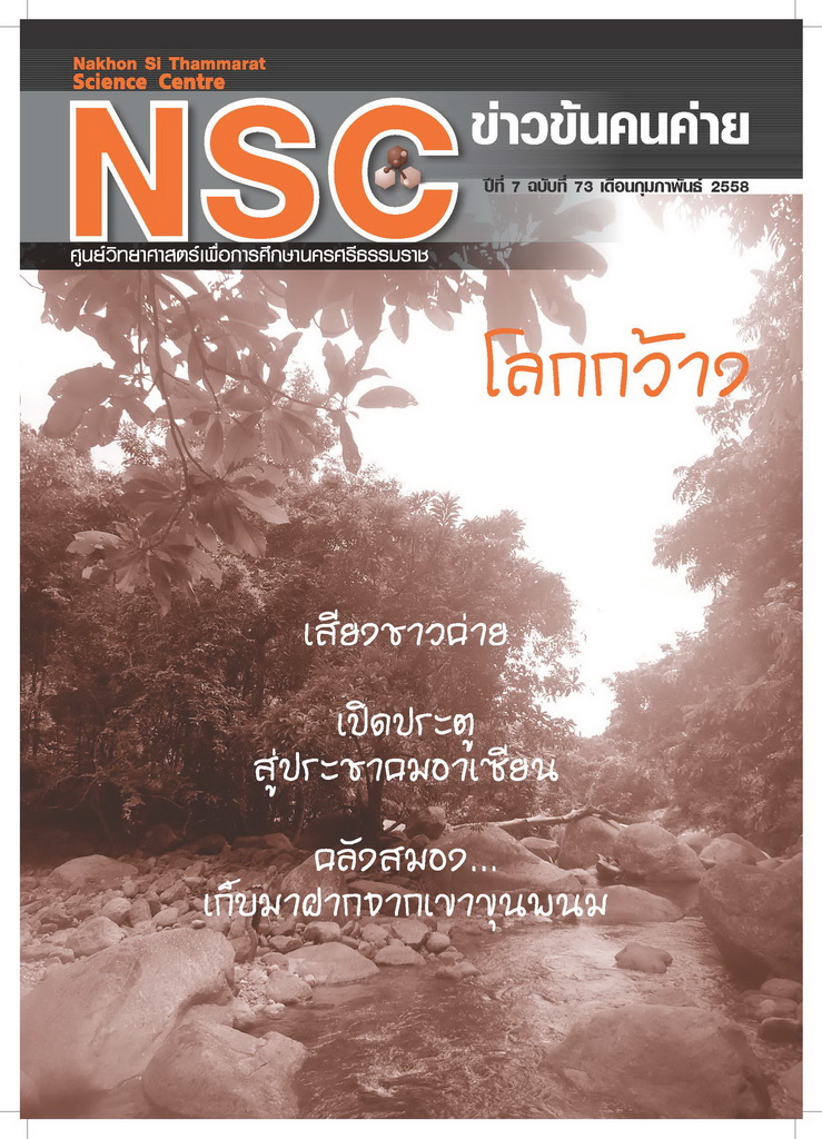NSC ฉบับที่ 73 กุมภาพันธ์ 2558