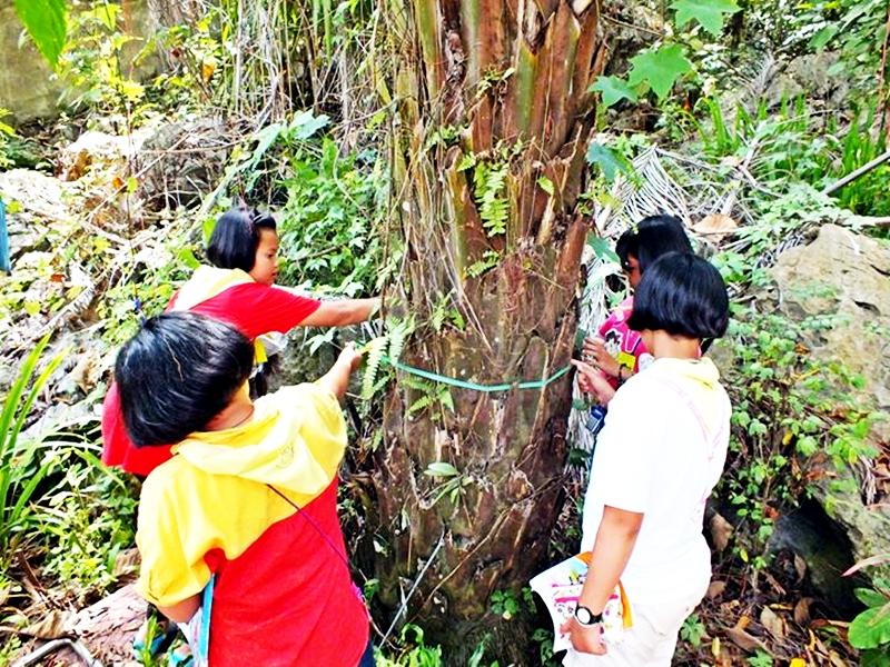 Play & Learn - ศูนย์วิทยาศาสตร์เพื่อการศึกษานครศรีธรรมราช - ความสุขแห่งการเรียนรู้