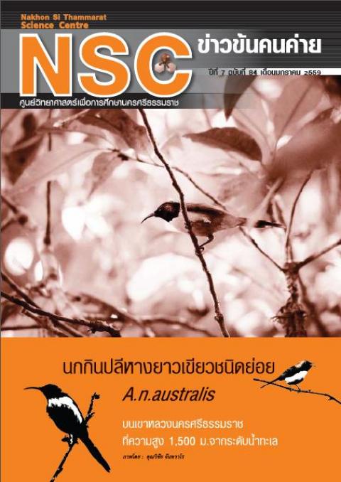 NSC ฉบับที่ 84 เดือนมกราคม 2559 ศูนย์วิทยาศาสตร์เพื่อการศึกษานครศรีธรรมราช - ความสุขแห่งการเรียนรู้